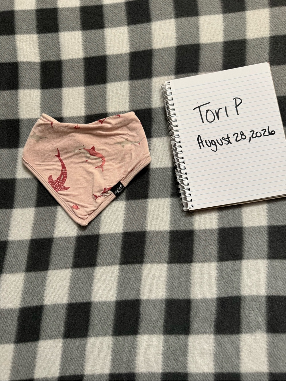 Kyte BABY Blush Sharks Bib